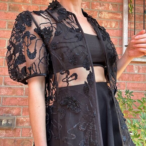Black Sheer Mesh 3D Floral Embroidered Top Puff Sleeve Whimsigoth Witchy - Picture 2 of 10